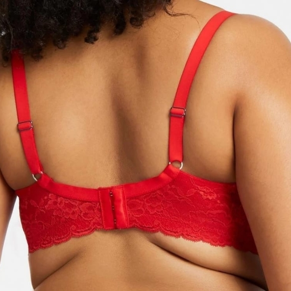 Divine Full Coverage lace Bra - Picture 2 of 12